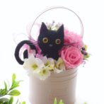 花と猫