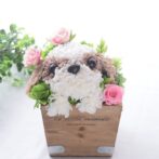 花の犬　シーズー