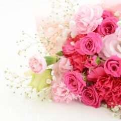 プリザーブドフラワー／癒しの贈り物