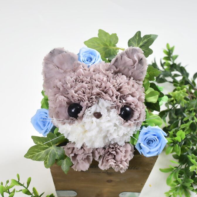 プリザーブドフラワーの猫