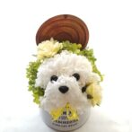 花の犬　イエロー