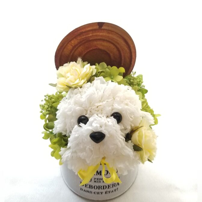 花の犬　イエロー