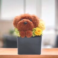 犬 もこペット【キャメル】プリザーブドフラワー 毛糸の動物 花 ペット 動物 犬 プードル