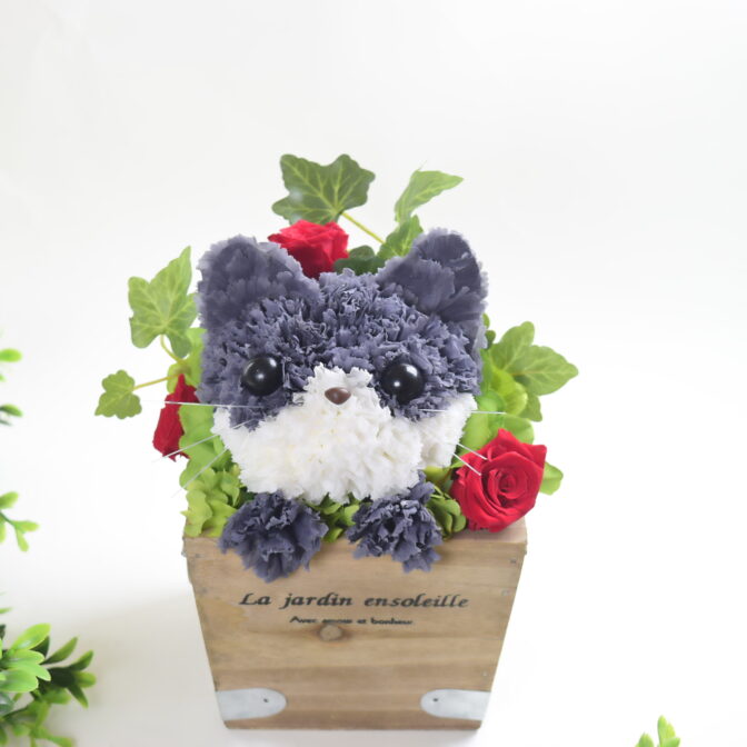プリザーブドフラワー黒猫
