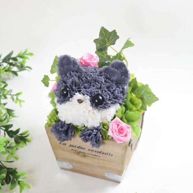 プリザーブドフラワー猫