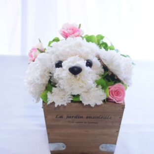 【トイプードル・白】花っぷり フラワーペット／プリザーブドフラワー 犬 プードル 花 カーネーション プレゼント 誕生日