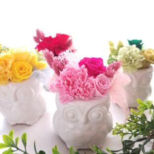 プリザーブドフラワー【ふくろう】 縁起物　動物  プレゼント　誕生日　お祝い　花