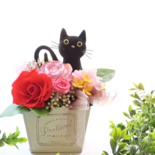 花と猫 No.4【レッド】プリザーブドフラワー 猫 動物 ペット プレゼント 花 誕生日 フラワーギフト