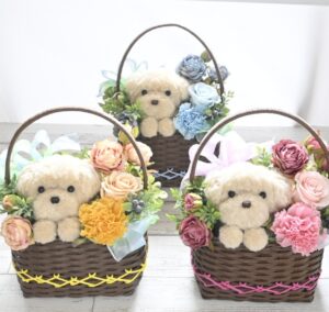 もこペット　白い犬　バスケット