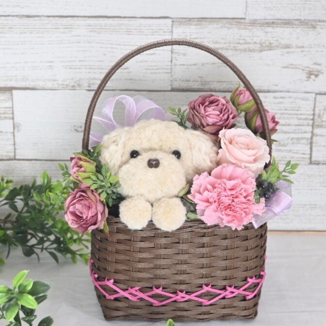 もこペット　ピンク　白い犬　バスケット