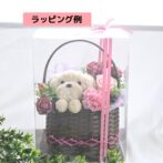 もこペット　ラッピング