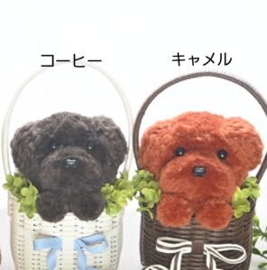 もこペット 茶犬