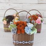 もこペット　茶犬　ブルー　バスケット