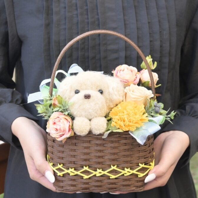 もこペット　白い犬　バスケット