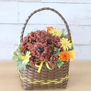 フラワーペット　バスケット　トイプードル