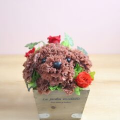 愛らしいお花のトイプードル