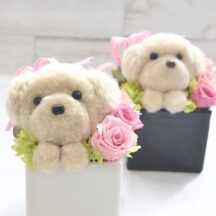 可愛い！毛糸のアニマル