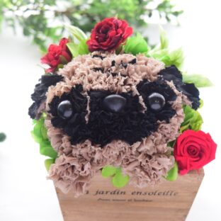 【パグ】花っぷり フラワーペット／プリザーブドフラワー 犬 プードル 花 カーネーション プレゼント 誕生日