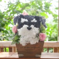 【シュナウザー】花っぷり フラワーペット/プリザーブドフラワー 犬  花 カーネーション プレゼント 誕生日